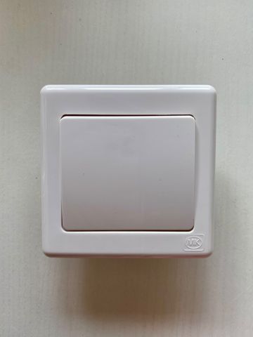 10A 單掣